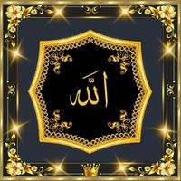 .elvinrza313