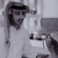 wsa3dw