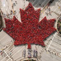 dzincanada639