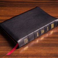 bible.trends