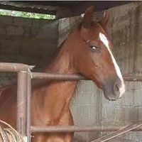 Sí soy un naco soy un mega naco