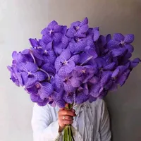 original sound - sky53924