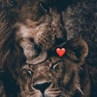 shatha_28996