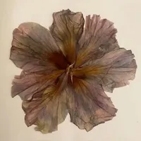 قرآن