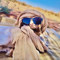 الصوت الأصلي