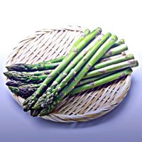 bonnzinn_103