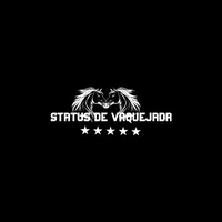 original sound - sstatusdevaquejada21