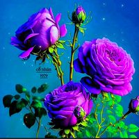 co.nhan_1979