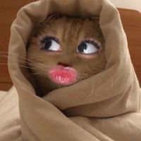 suara asli - evelyn