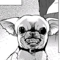 オリジナル楽曲 - チワワですらこの形相