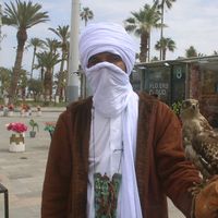 الصوت الأصلي