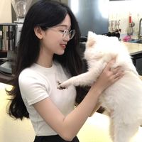 nhạc nền - Cẩm Tiên 🫐