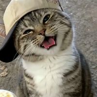 original sound - Ken