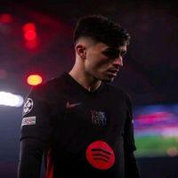 david_405