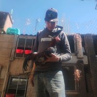 juliocesaracosta76