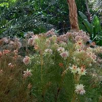 original sound - တစ်ခါတလေ 🇲🇲 ❤ 🇸🇬 🙂