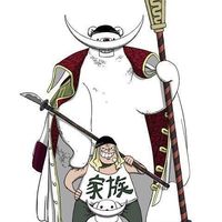 kingbear8888