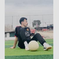 الصوت الأصلي