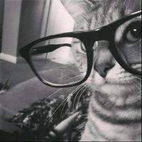 suara asli - eJaaforsuree