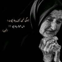 shareefbachi1234