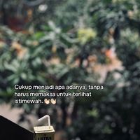 dedeknisa0.8