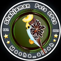original sound - shahjaman_petssp29