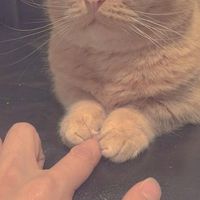 เสียงต้นฉบับ - หลับไหล