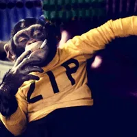 original sound - everybody1993