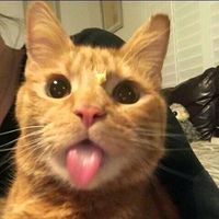 suara asli - korizen/💨