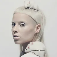 Enter the ninja Die Antwoord