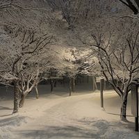오리지널 사운드 - 교복 모음