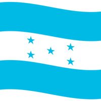 dario.wellington.z