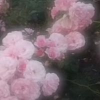 user6341693440695