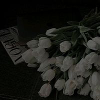 may.may3650