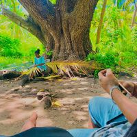 csstroots