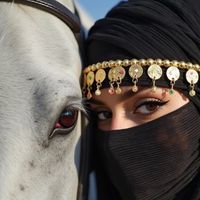 salmma_550