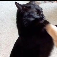 original sound - atr10.axp