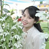 nhạc nền - Hoa Lan Mây