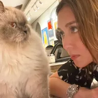 original sound - meowkcmb