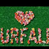 original sound - nizip80