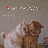 gul___7861