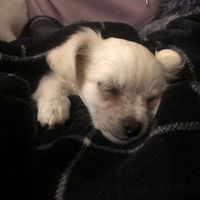 clean_up_aisle_my_pants