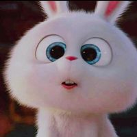 jennieworld_life