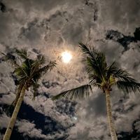 оригинальный звук