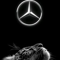 mb_g63