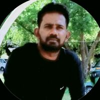 shamromesh1