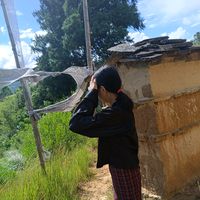 choden352