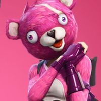 fortnite_fans