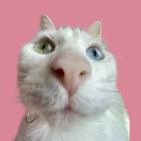 All American B Scream Ending Olivia Rodrigo