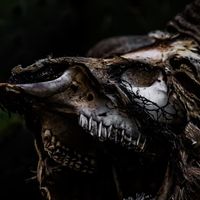 caskandcanyonphotography